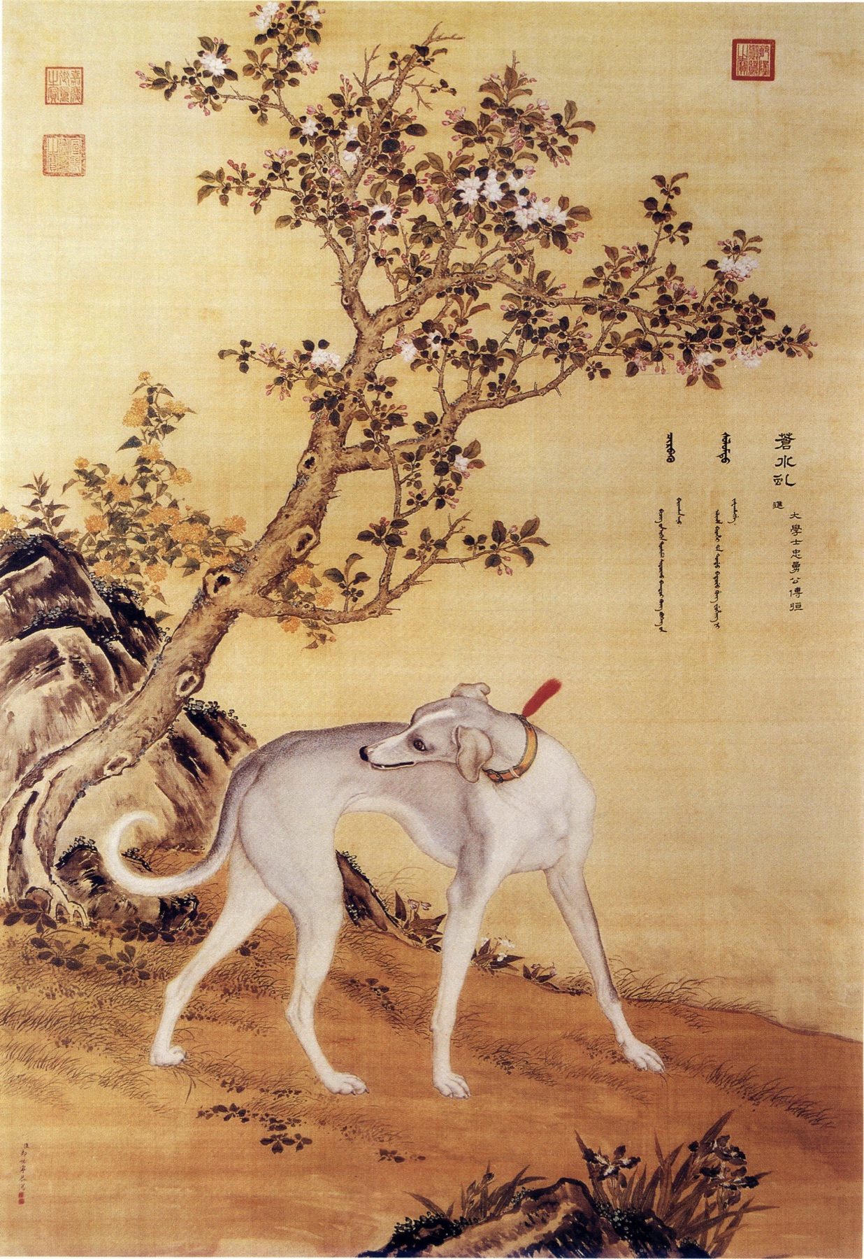 Qing dynasty painting of a pale Chinese greyhound turning under a flowering tree